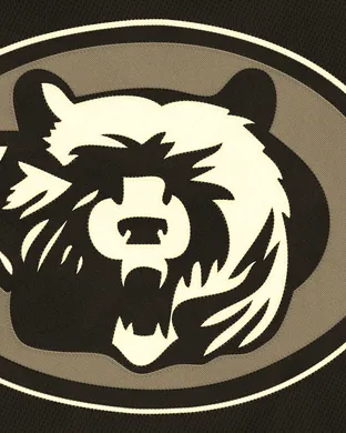 Chicago Bears Chicago