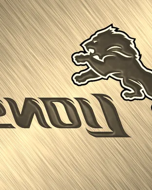 Detroit Lions Chicago